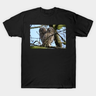 Tawny Owlets T-Shirt